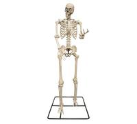 P'TIT Clown - 23710 - Squelette de Titan Lumineux 3,18m - Armature en Metal - Décoration Halloween Extérieure - Déco Effrayante Jardin ou Scène Horreur - LED - Fonctionne 3 Piles AA (Non incluses)