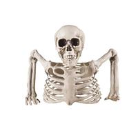 P'tit Clown - Décoration Squelette Halloween en Plastique - Réaliste et Effrayant avec Détails Sculptés pour Créer Une Ambiance Macabre (Demi Squelette, 20 cm)