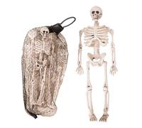 P'tit Clown - Décoration Squelette Halloween en Plastique - Réaliste et Effrayant avec Détails Sculptés pour Créer Une Ambiance Macabre (Mini squelettes - Lot de 6, 24 cm)