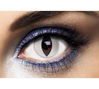 P'TIT CLOWN - Lentilles de Contact (sans correction) -Journalières- Parfaites pour Compléter votre Déguisement pour Halloween, Carnaval et autres Fêtes Costumées (Chat blanc, 2 unité (Lot de 1), 0)