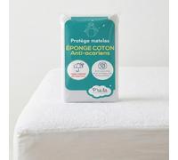 P'tit Lit - Protège Matelas Bébé Cododo | Alèse Imperméable et Anti Acariens - Absorbant et Silencieux - Oeko Tex