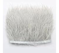 PTNKUIIY Ruban de plumes d'autruche 1 m - 8 à 10 cm - Pour travaux manuels, plumes d'autruche, ruban de satin à franges - Pour plumes d'autruche, artisanat, costumes, décoration, gris clair