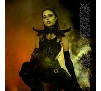 Ptwiggs - Darkening of Light