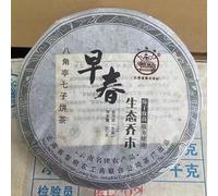 Pu-Erh tea,2010,Bajiaoting,Early Spring Tree,357g,Raw