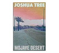 PUBDSKBLDE Plaque en métal avec inscription « California Joshua Tree National Park » - Décoration murale vintage - 20 x 30 cm