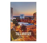PUBDSKBLDE Plaque en métal Tallahassee Florida - Décoration murale vintage pour maison, cuisine, bar, café, club, grotte - 30 x 43 cm