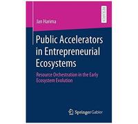 Public Accelerators In Entrepreneurial Ecosystems