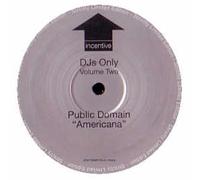Public Domain - DJ's Only Volume 2 [Import]