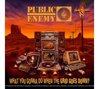 Public Enemy - What You Gonna Do When The Grid Goes Down? [New CD] Explicit