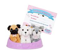 Pucci Pals Adopt-A-Pup, 3 Chiots en Peluche à Adopter, Thème 2