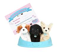 Pucci Pals Adopt-A-Pup, 3 Chiots en Peluche avec Panier, thème 3