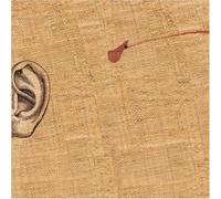 Puce a l'Oreille