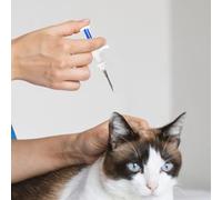 Puce Électronique Pour Animaux - Puce D'Identification Implantable Avec Seringue - d'Identification pour Bétail, Chevaux, Moutons, Élevages et Maison