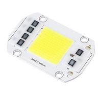 Puce LED, 220V Puce LED 2,4 X 1,6 en 100W 220V pour la publicité pour Une Utilisation intérieure et extérieure