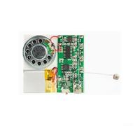 Puce sonore d'enregistrement 8 Mo USB rechargeable carte DIY (B) | Enregistrement vocal direct, téléchargement MP3 via USB, mémoire de 8 Mo, rechargeable, idéal pour les cartes DIY