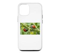 Pucerons coccinelles bénéfiques pour Jardin Permaculture Coque pour iPhone 12/12 Pro