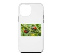 Pucerons coccinelles bénéfiques pour Jardin Permaculture Coque pour iPhone 12 Mini
