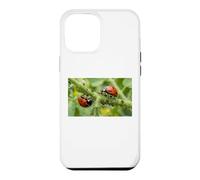 Pucerons coccinelles bénéfiques pour Jardin Permaculture Coque pour iPhone 12 Pro Max