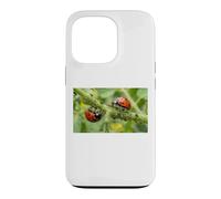 Pucerons coccinelles bénéfiques pour Jardin Permaculture Coque pour iPhone 13 Pro