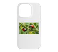 Pucerons coccinelles bénéfiques pour Jardin Permaculture Coque pour iPhone 14 Pro