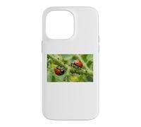 Pucerons coccinelles bénéfiques pour Jardin Permaculture Coque pour iPhone 14 Pro Max