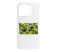 Pucerons coccinelles bénéfiques pour Jardin Permaculture Coque pour iPhone 15 Pro Max