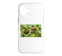 Pucerons coccinelles bénéfiques pour Jardin Permaculture Coque pour iPhone 16 Plus