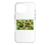 Pucerons coccinelles bénéfiques pour Jardin Permaculture Coque pour iPhone 16 Pro