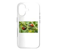 Pucerons coccinelles bénéfiques pour Jardin Permaculture Coque pour iPhone 17