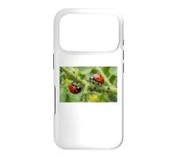 Pucerons coccinelles bénéfiques pour Jardin Permaculture Coque pour iPhone 17 Pro