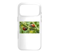 Pucerons coccinelles bénéfiques pour Jardin Permaculture Coque pour iPhone 17 Pro Max
