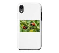 Pucerons coccinelles bénéfiques pour Jardin Permaculture Coque pour iPhone XR