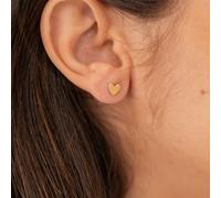 Puces dorées petits cœurs