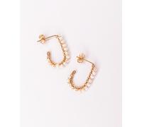 Puces pierres naissance - juin