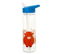 Puckator Bouteille d'eau (gourde) Highland Coo – Vache 550 ml