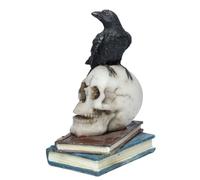 Puckator Figurine Corbeau Debout sur Crânes et Livres Empilés