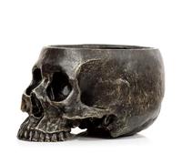 Vase - Pot pour plante - Forme de crâne - 10,5x12,5x19,5cm - Décoration originale