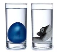 Puckator Œuf d'éclosion de Requin - Jouets pour garçons à partir de 3 Ans - Œufs de Vie Marine Qui éclosent dans l'eau - Œuf de Culture - Jouet en Forme d'œuf de Vie Marine - Jouets pour garçons -