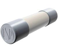 Püschel Feinsicherungen FSSF1,0B FSSF1,0B Micro-fusible (Ø x L) 5 mm x 20 mm 1 A 250 V ultra-rapide