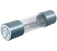 Püschel Feinsicherungen FST10,0B FST10,0B Micro-fusible (Ø x L) 5 mm x 20 mm 10 A 250 V temporisé -T