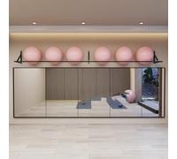 PUFAHAU Support Mural De Rangement pour Ballons De Yoga/Médical/De Stabilité/d'exercice, Robuste, Longueur 245 Cm (8 Pi), Idéal pour Les Clubs De Fitness Et Les Salles