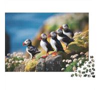 Puffin Birds on Rocks Plaque Métallique Rustique 52x38cm/1000pcs pour Le Coin Bar, pour Le Bureau, Le Studio Et L’Atelier Créatif