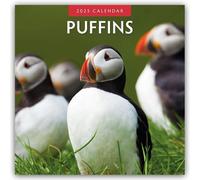 Puffins 2025 Square Wall Calendar