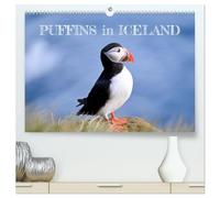 Puffins in Iceland (High Quality Premium Wall Calendar 2026 DIN A2 landscape),CALVENDO 12 Month Wall Calendar: Discover Iceland's beautiful puffins