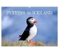 Puffins in Iceland (Wall Calendar 2026 DIN A2 landscape), CALVENDO 12 Month Wall Calendar: Discover Iceland's beautiful puffins