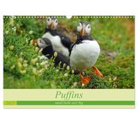 Puffins - small birds very big (Wall Calendar 2027 DIN A3 landscape), CALVENDO 12 Month Wall Calendar: The calendar shows photos of the cute puffins from the island Skellig Michael in Ireland.