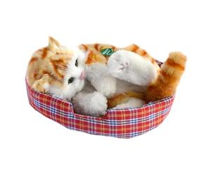 Pugermering de Compagnie Virtuel Adorable Qui émet des Miaule, Cat Orange du Corps