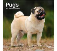 Pugs 2027 7 X 14 Inch (Hanging) Monthly Mini Wall Calendar