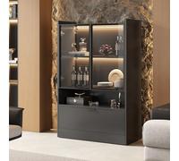 PUGSDRLY Vitrine en Verre avec 2 Portes,Armoire de Vitrine avec Lumières LED 16 Couleurs,Bibliotheque,Buffet Salon avec 1 Porte Abattante,Moderne Meubles de Rangement,Noir,80x35x120cm (Style-A)