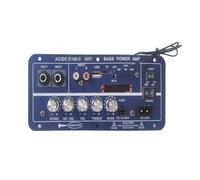 puhae Amplificateur Bluetooth Numérique 220 V 12 V, Caisson de Basses, Double Microphone, Ampli Karaoké, Haut-Parleur, Cinéma Maison, Bricolage, 100 W, Prise UE